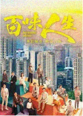 悬疑剧集雾港夜航封面